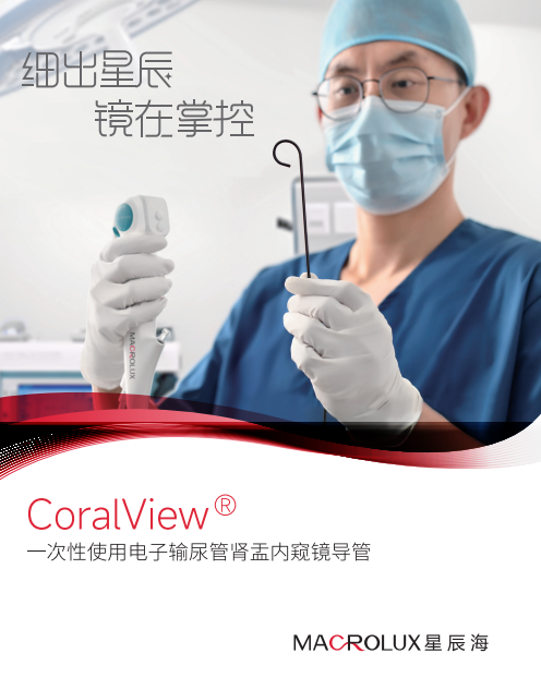 星辰海-一次性使用電子膀胱腎盂內(nèi)窺鏡導管